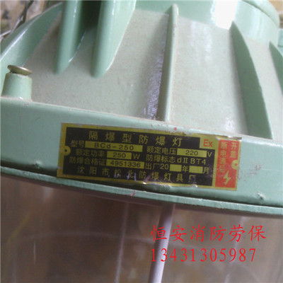 安佳防爆應(yīng)急燈與相關(guān)消防器材全解析